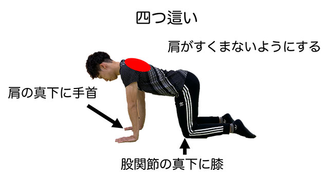 腱板断裂について